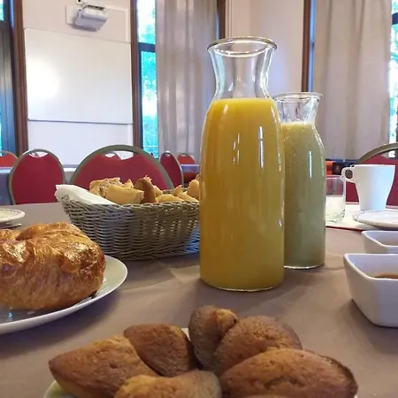 Manoir Des Reves Sauvages 3* Parentignat