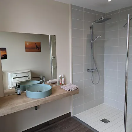 Manoir Des Reves Sauvages 3* Parentignat