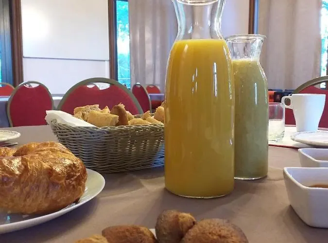 Manoir Des Reves Sauvages 3* Parentignat