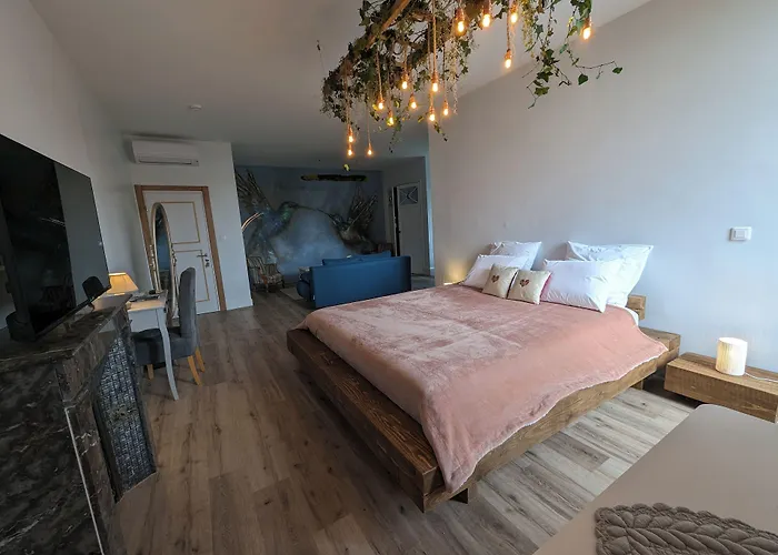 Manoir Des Reves Sauvages 3* Parentignat